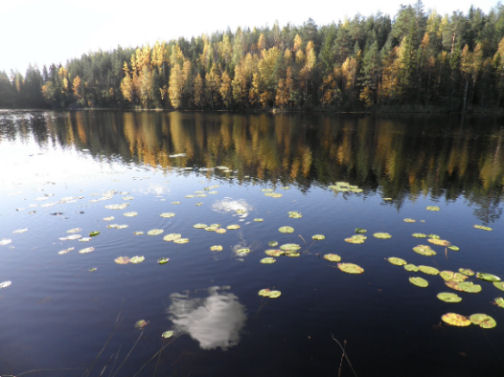 Dona Foa, vivere in Finlandia Dona Foa, vivere in Finlandia